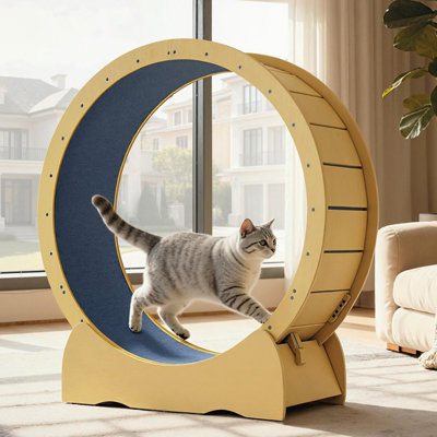 Roue d'exercice d'intérieur pour chat avec piste détachable en tapis, tapis roulant en bois naturel de 42 pouces pour la course, l'entraînement et la marche, convient à la plupart des chats