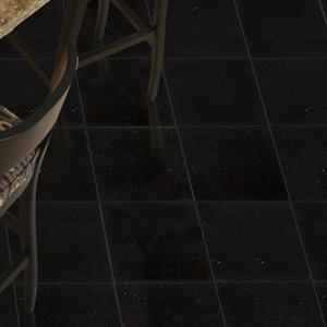 Black Galaxy 12" x 12" Granite Wall & Floor Tile