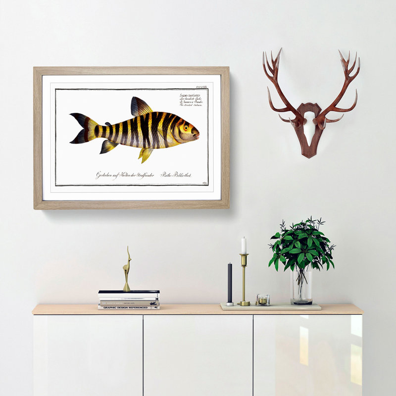 Streaked Salmon Fish by M.E. Bloch - Picture Frame Art Print, Oak Framed, 27cm H x 36cm W x 2cm D