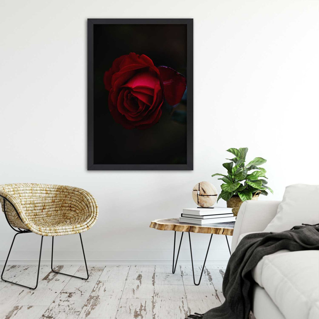 Gerahmter Fotodruck Red Rose in der Nacht