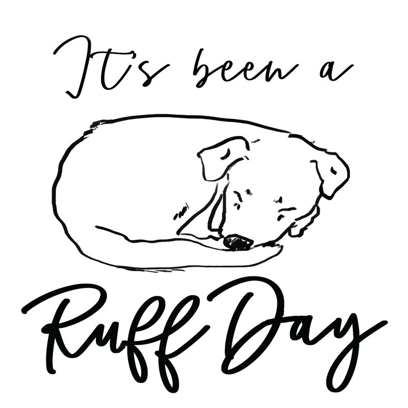 Ruff Day - Wrapped Canvas Print, 91cm H x 91cm W x 3.8cm D