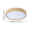 Maio Plastic LED Flush Mount