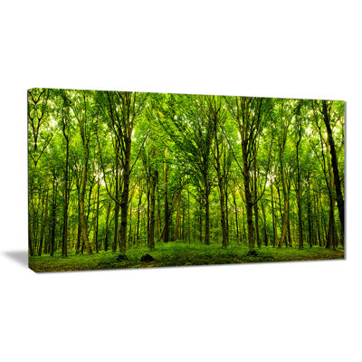 Forest Landscape by Designartv - Wrapped Canvas Photograph Print
