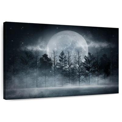 Forêt sombre au clair de lune