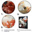 Fish Aquatic Symphony - animaux, art mural sur toile-91437207-91437211