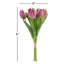 TULIP BUNCH 8 STEMS SET OF 6-134795164