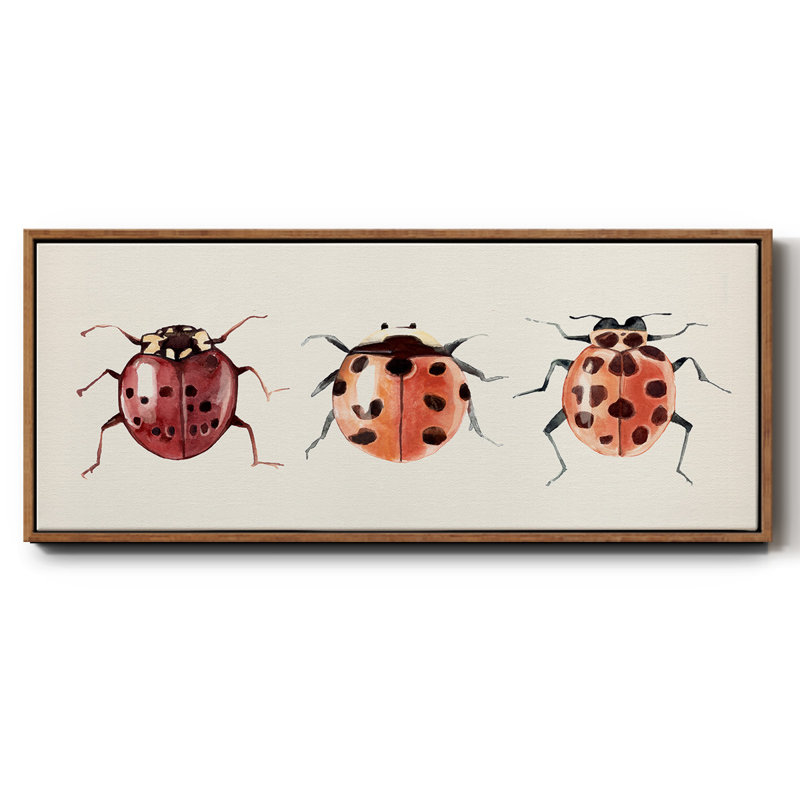 Coccinelle, H 20 po x l 50 po