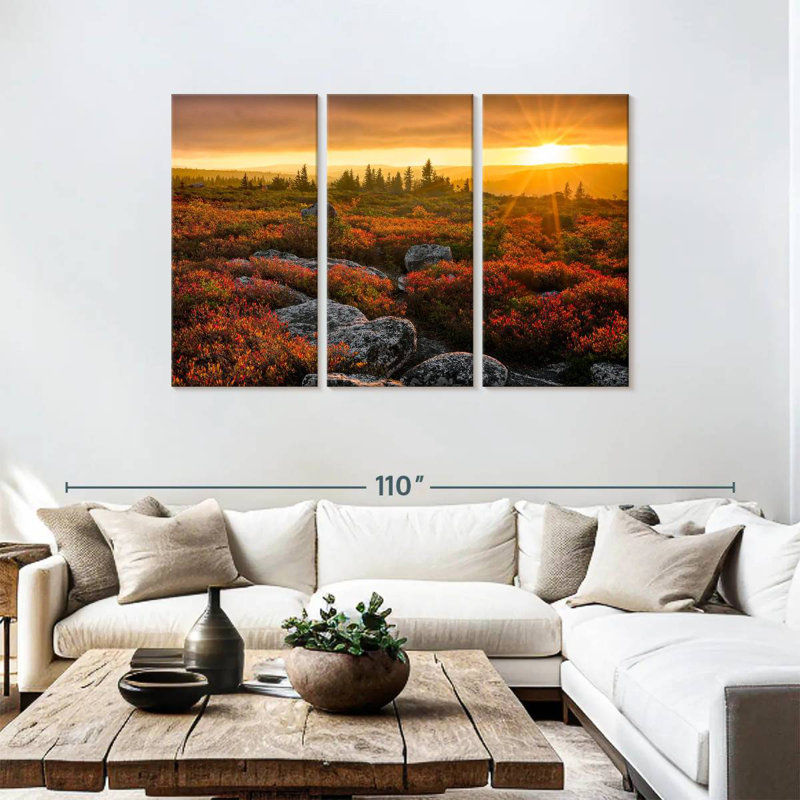 Alvord Dolly Sods Sunset, H 48 po x l 74 po