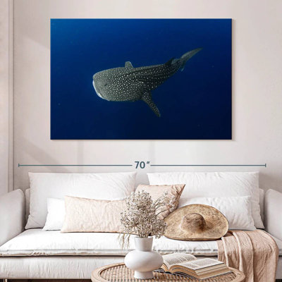 Brampt Whale Shark In Deep Blue Water