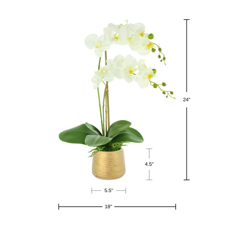 Arrangement d'orchidées en pot Polysilk
