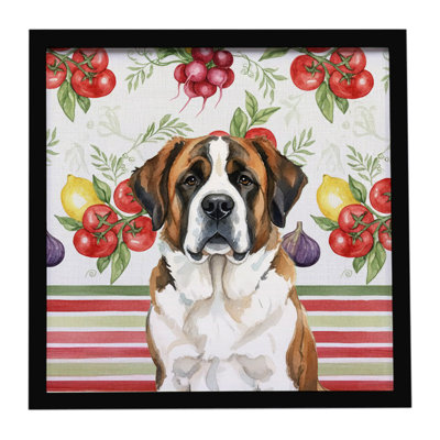 "Brindle and White Saint Bernard Légumes", impression sur métal encadrée