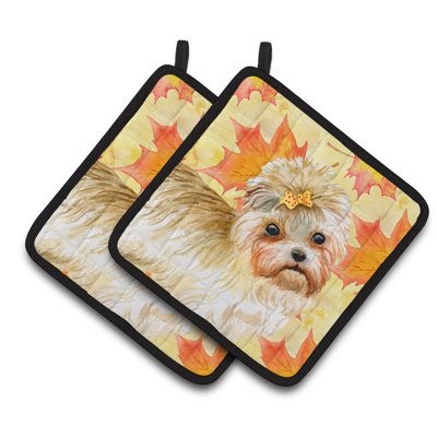 Cuisinier poignée d’automne morkie trésors de caroline