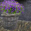 Fleurs artificielles-1398364672