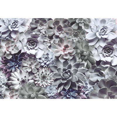 Celestyn 8.3' L x 145.2" W Wall Mural