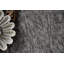Ensemble de tapis intérieur / extérieur en nylon touffeté à la machine Loralea-751908163