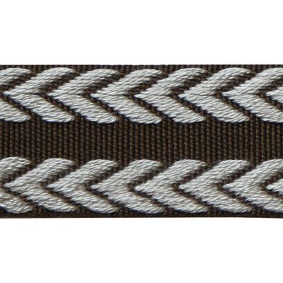 Passamenterie Chevron Braid Fabric