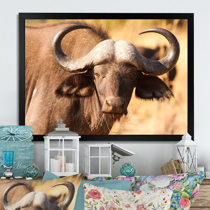 " African Cape Buffalo Head ", 16" H x 32" W x 1" D, Black Picture Frame