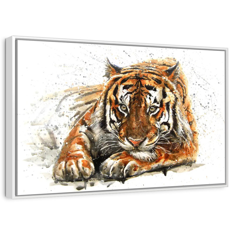 Lounging Bengal Tiger, 25" X 17", Floating Frame White