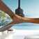 Nicola 52" 3 - Blade Standard Ceiling Fan with Remote Control without Lights
