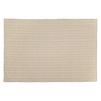 Amryis Cotton Hand Woven Area Rug