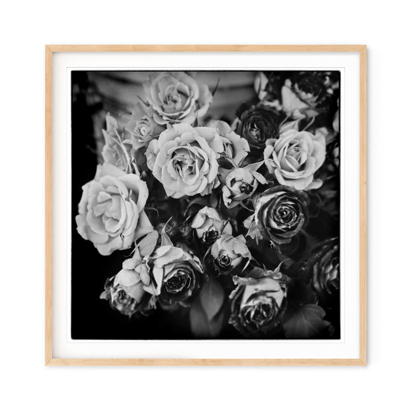 Fading Roses - Picture Frame Photograph on Paper , 36" H x 36" W, Natural Framed