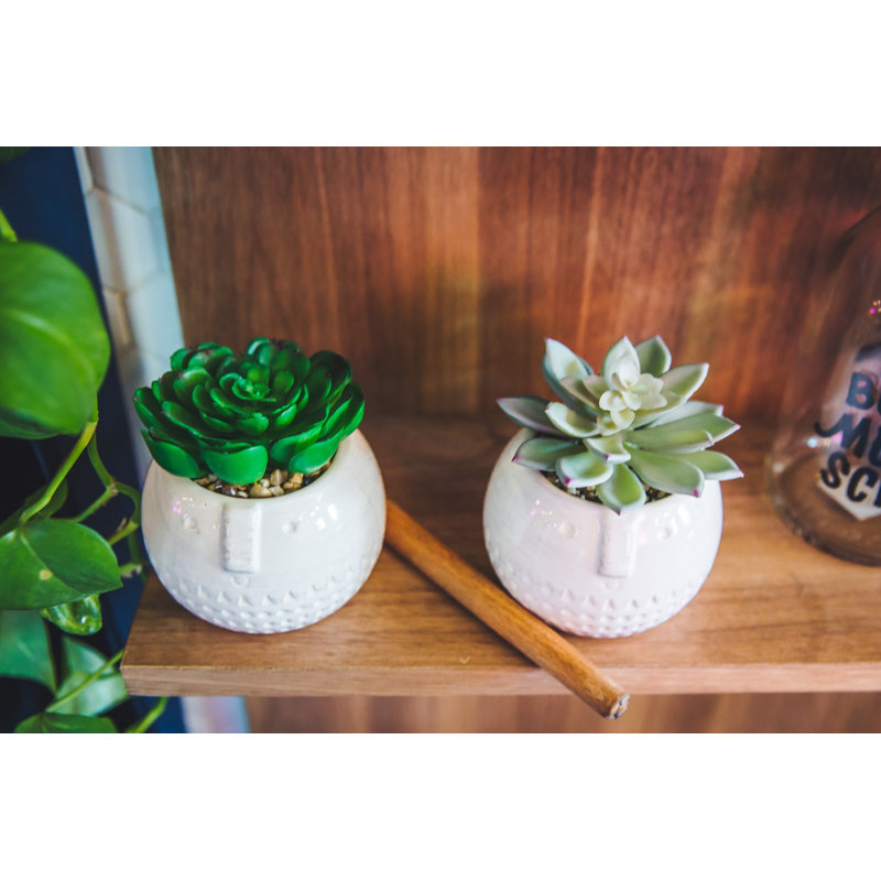 4'' Faux Succulent in Pot