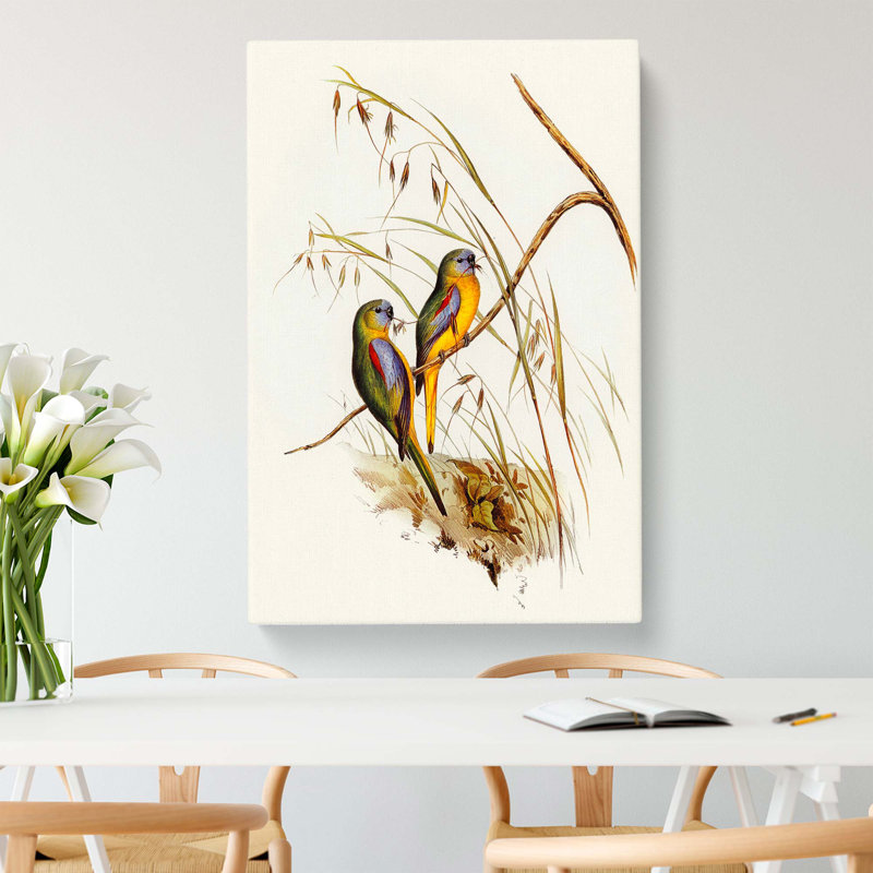 Grass-Parakeets by Elizabeth Gould - Wrapped Canvas, 50cm H x 35cm W x 3cm D