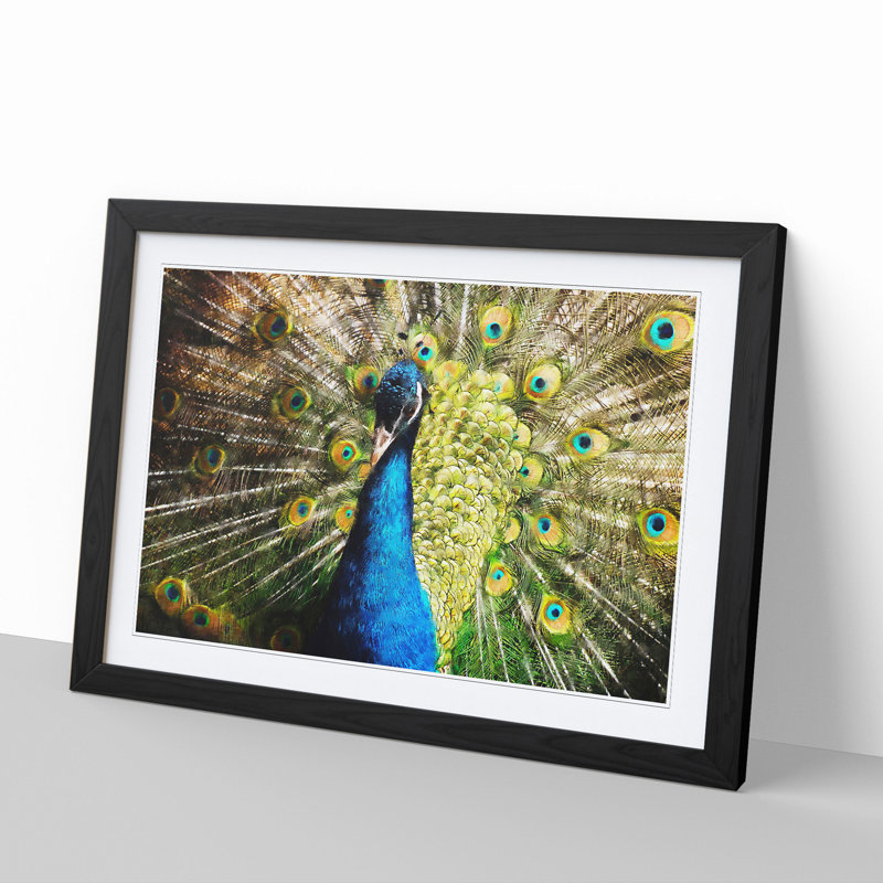 Peacock Vol.2 - Framed Print, Black Framed, 48cm H x 65cm W x 2cm D