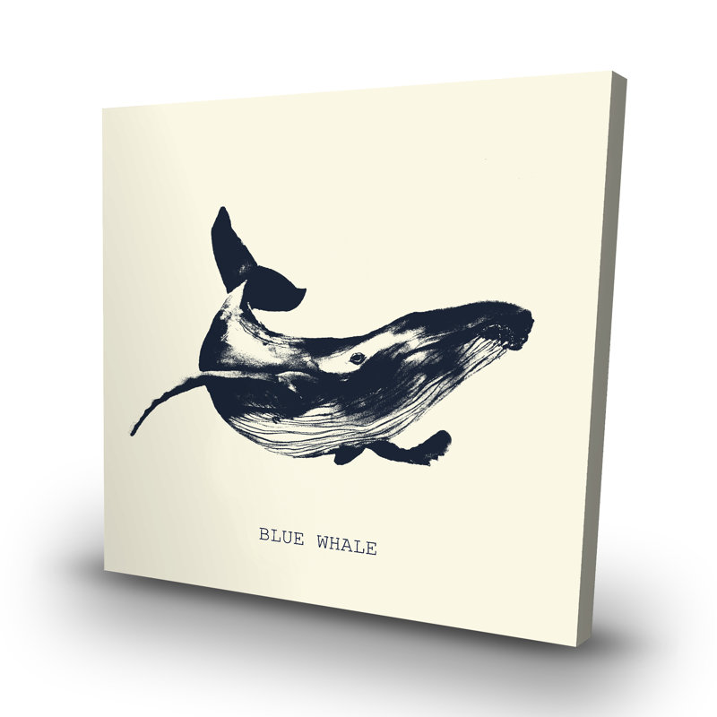 whale sketch - 32"x32" art on canvas