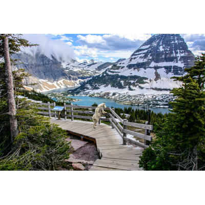 " Glacier National Park "