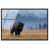 Black Floater Frame