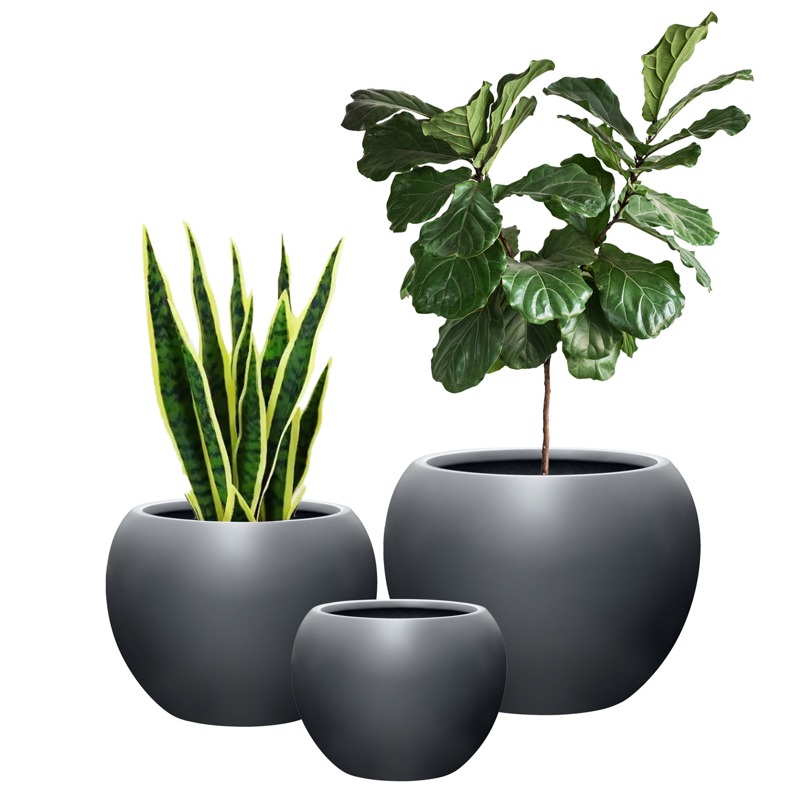 Dorlis 21" Pot Planter, 10" H x 13" W x 13" D, Charcoal