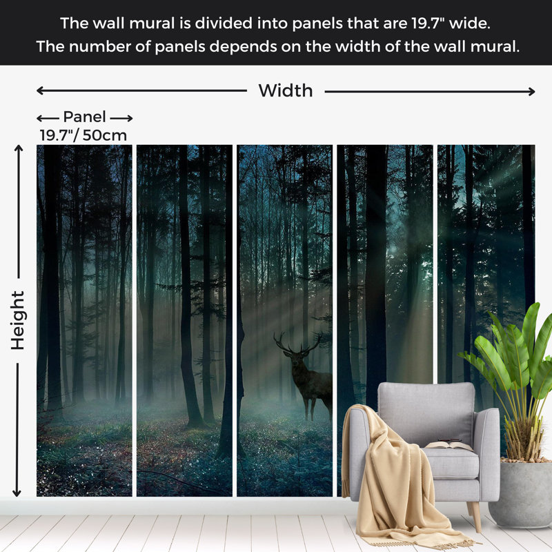 Papier peint paysage - Forêt mystique dans la matinée, L 110 po x l 157 po