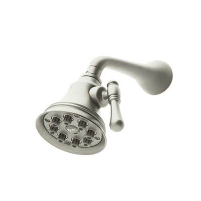 Mantova Shower Head, Polished Nickel