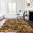 Premium Machine Washable Paytynn Brown Rug-898255790