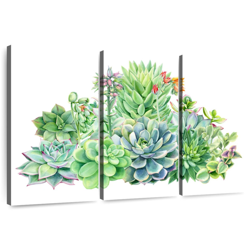 Harnek Succulent Plant Bouquet, 36" H x 57" W
