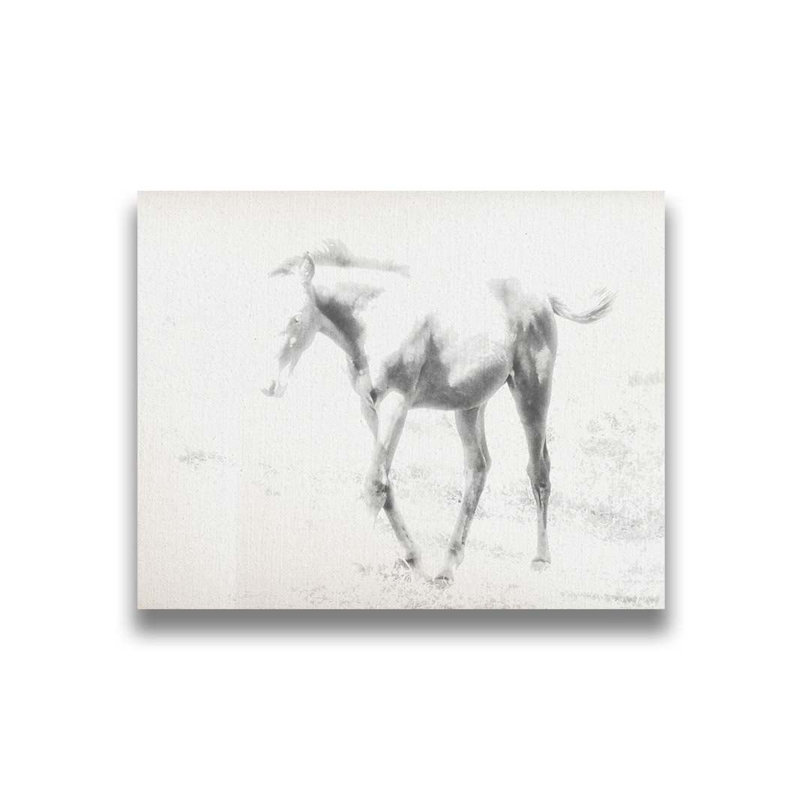 Poney dans un enclos par Hal Halli. Toile giclée sur toile tendue avec cadre flottant, H 32 po x l 40 po, Toile tendue