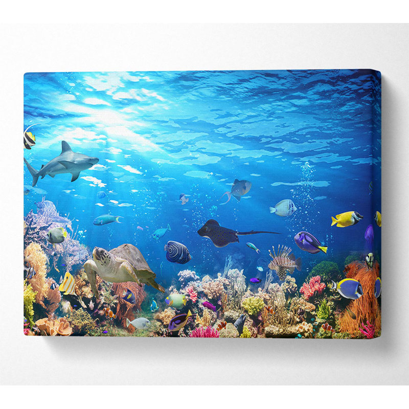 Creatures In The Reef Framed Print, Wrapped Canvas, 66cm H x 106.6cm W x 4.4cm D
