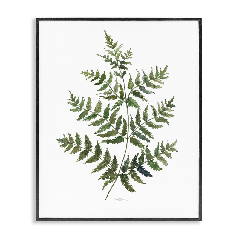 Branches de fougère évasée, estampe numérique, design par Carol Robinson, H 30 po x l 24 po, Giclée encadrée noir minuit
