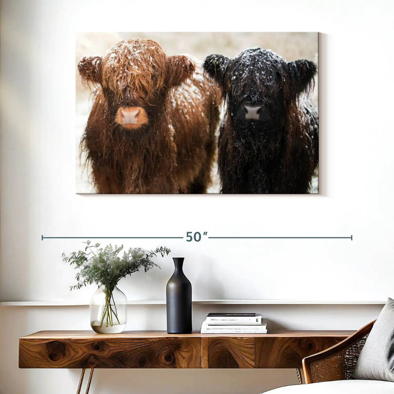Brampt Hairy Highland Cows, 26" H x 39" W