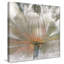 «Lily Light», reproduction-30118227-30897977
