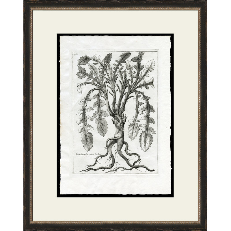 Rooted Plant I Painting