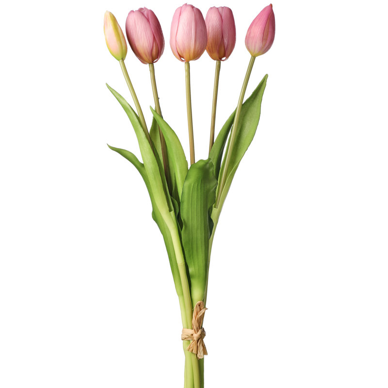 Tulip Arrangement, Purple
