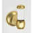 Polished Brass