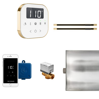 Steam Generator Control