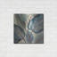 "Greenhouse Leaves" par Silvia Vassileva-1387638806