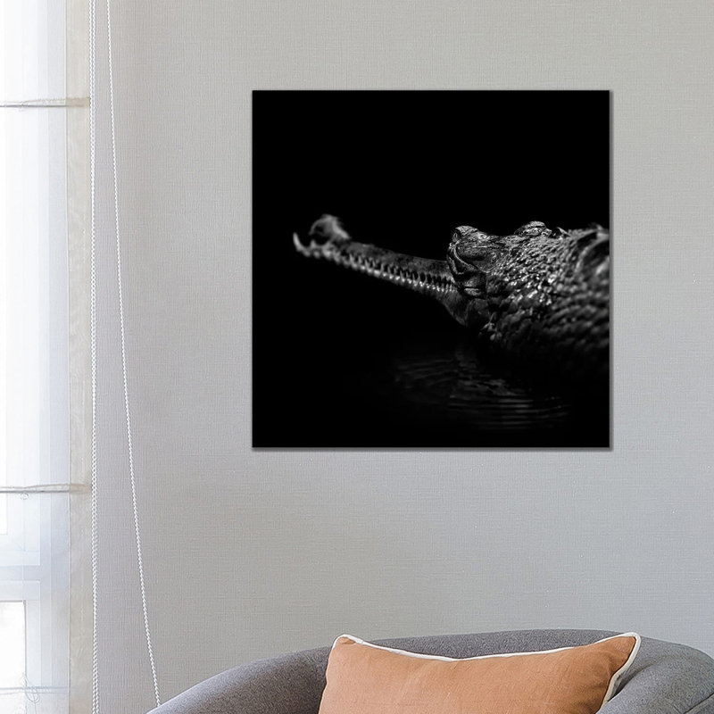 Gavial In Black And White by Lukas Holas - Wrapped Canvas Print, 66.04 cm H x 66.04 cm W x 1.91 cm D