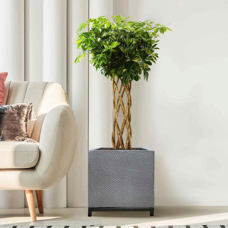 Indoor Square Planter, Indoor Plant Pot Stand for Indoor Plants, Slate Effect Square Plant Pot, Flower Pot on Metal Stand
