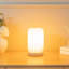 Nykee Table Lamp-1408922877