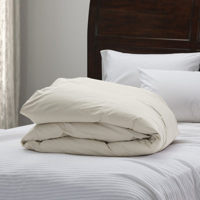 Comforter
